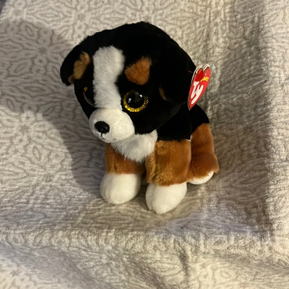 ty beanie “Roscoe”